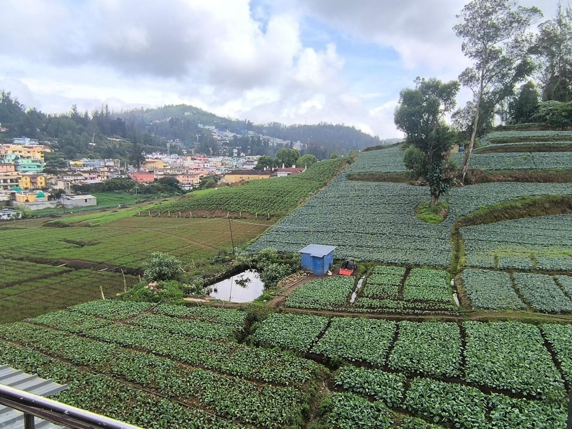 J J Homes Ooty Exterior foto
